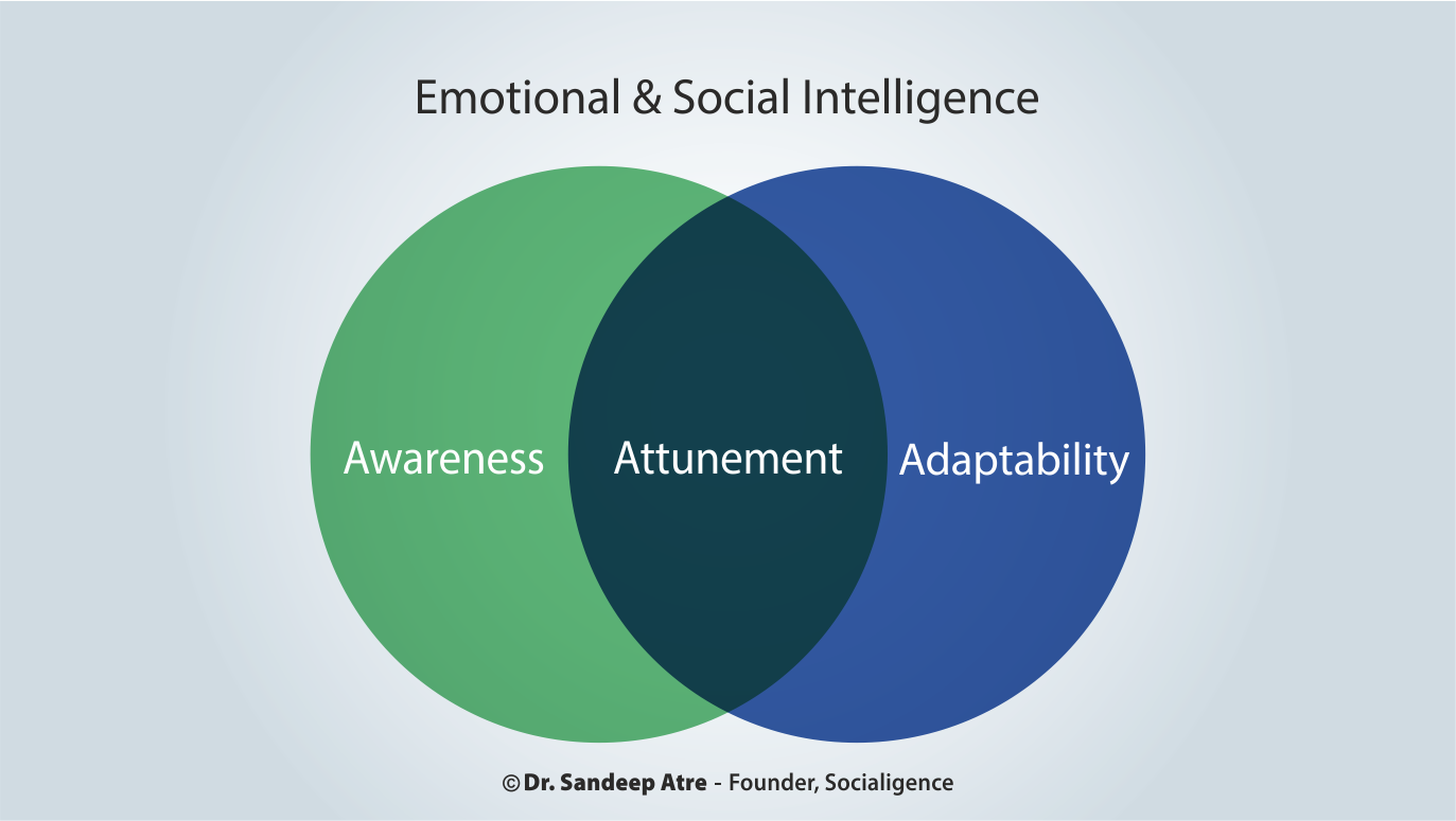 Visual of 2.a's Q1 - What is Emotional & Social Intelligence